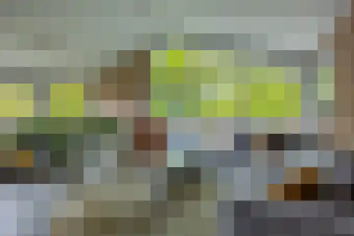 Meeuwenlaan 9 Vries thumbnail 10