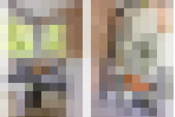 Meeuwenlaan 9 Vries thumbnail 13