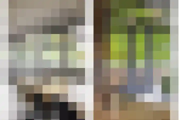 Meeuwenlaan 9 Vries thumbnail 15