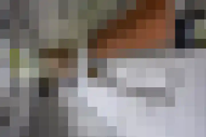 Meeuwenlaan 9 Vries thumbnail 19