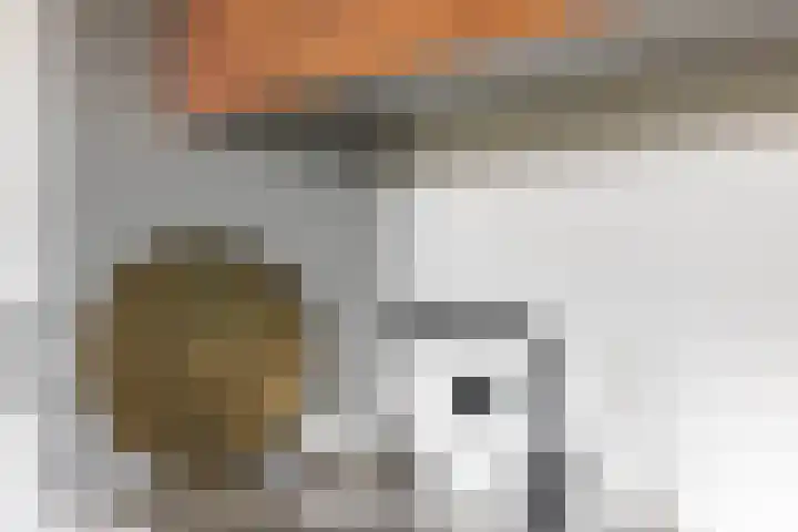 Meeuwenlaan 9 Vries thumbnail 20