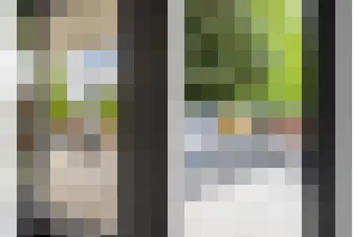 Meeuwenlaan 9 Vries thumbnail 22