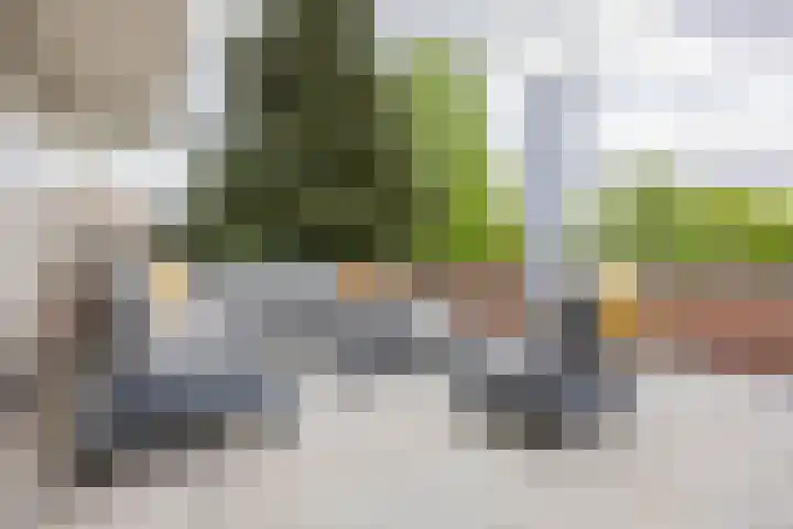 Meeuwenlaan 9 Vries thumbnail 23