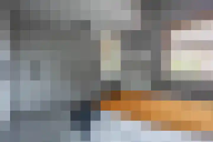 Meeuwenlaan 9 Vries thumbnail 29