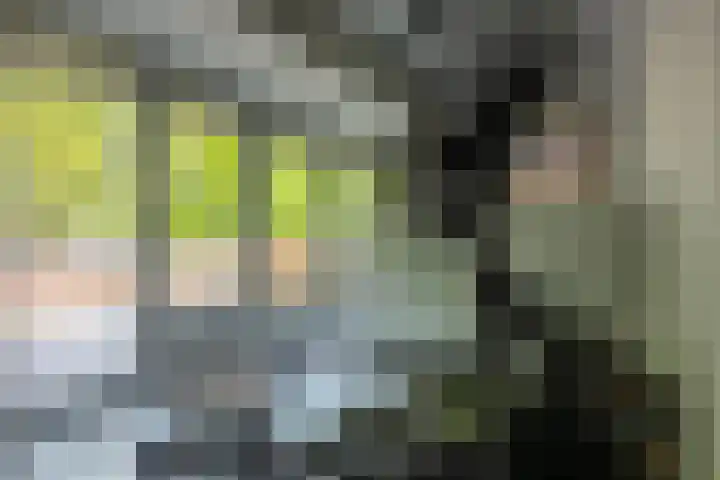 Meeuwenlaan 9 Vries thumbnail 33