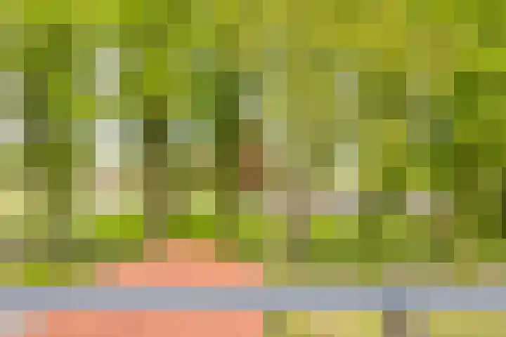 Meeuwenlaan 9 Vries thumbnail 37