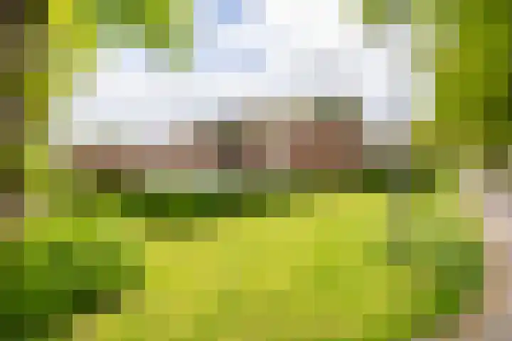Meeuwenlaan 9 Vries thumbnail 40