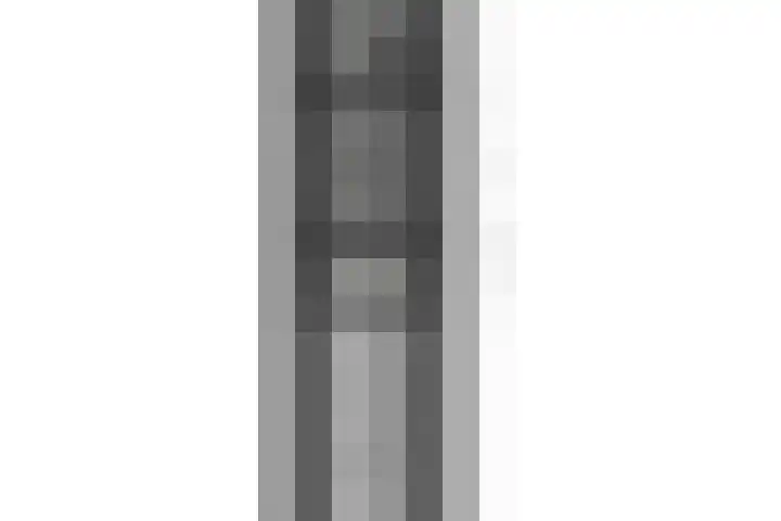 Meeuwenlaan 9 Vries thumbnail 48