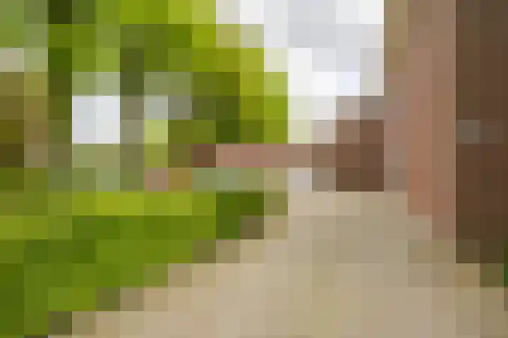 Meeuwenlaan 9 Vries thumbnail 5