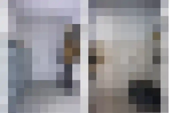 Meeuwenlaan 9 Vries thumbnail 9