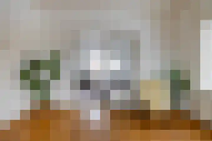 Meeuwenstraat 32 Foxhol thumbnail 11