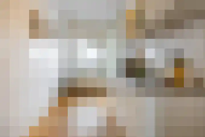 Meeuwenstraat 32 Foxhol thumbnail 15