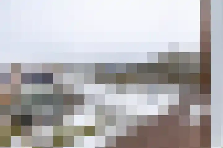 Meeuwenstraat 32 Foxhol thumbnail 30