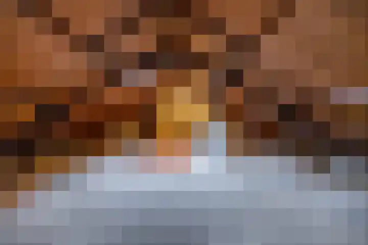 Meeuwenstraat 32 Foxhol thumbnail 31