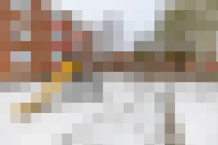 Meeuwenstraat 32 Foxhol thumbnail 35