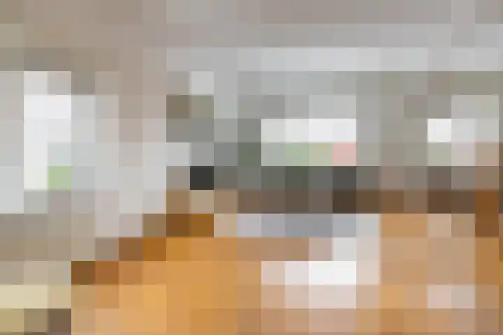 Meeuwenstraat 32 Foxhol thumbnail 9