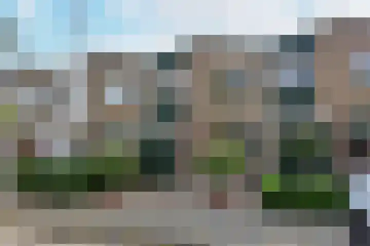Meeuwenveld 10 dans Nieuwveen