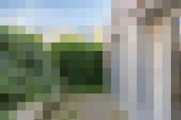 Meeuwerderweg 75 3 Groningen thumbnail 15