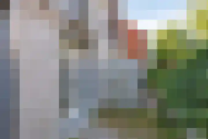 Meeuwerderweg 75 3 Groningen thumbnail 16
