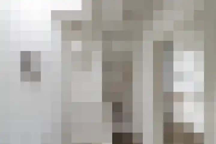 Meeuwerderweg 85 Groningen thumbnail 14