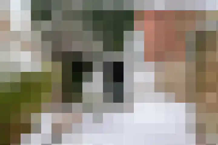 Meeuwerderweg 85 Groningen thumbnail 24