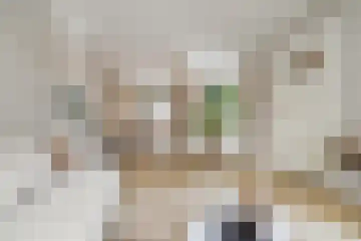Meeuwerderweg 85 Groningen thumbnail 8