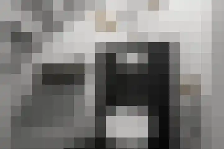 Meeuwstraat 12 Jisp thumbnail 15