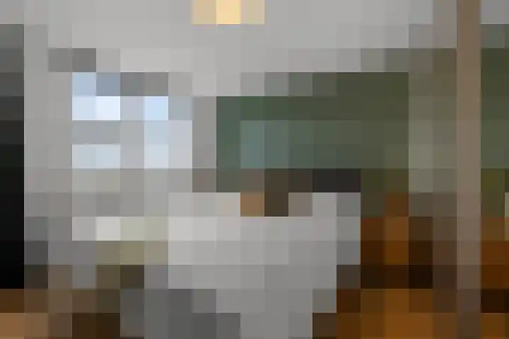 Meeuwstraat 12 Jisp thumbnail 17