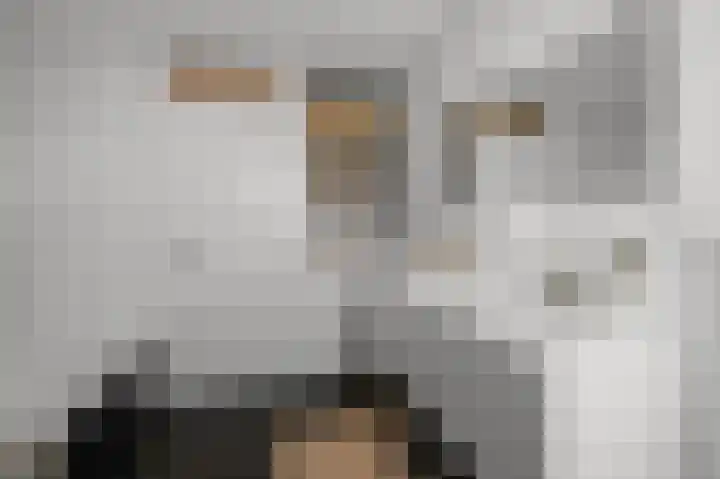 Meeuwstraat 12 Jisp thumbnail 21