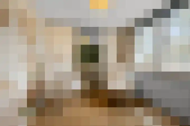 Meeuwstraat 12 Jisp thumbnail 24