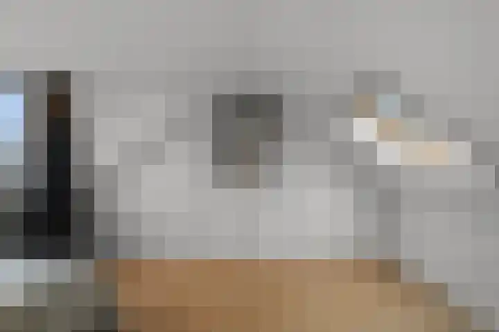 Meeuwstraat 12 Jisp thumbnail 26