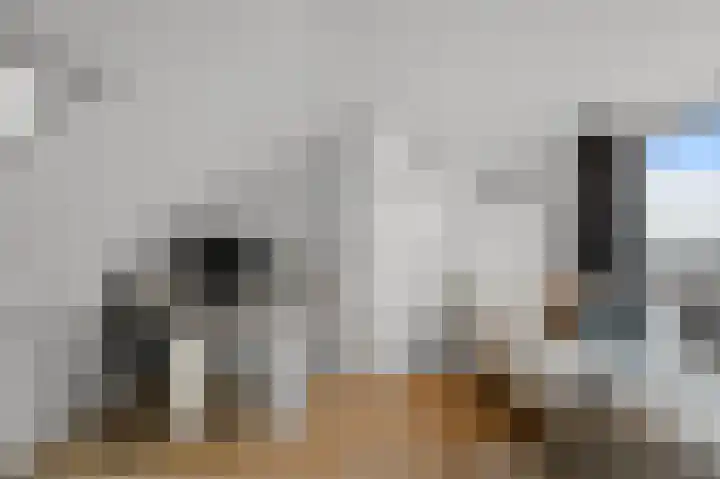 Meeuwstraat 12 Jisp thumbnail 27
