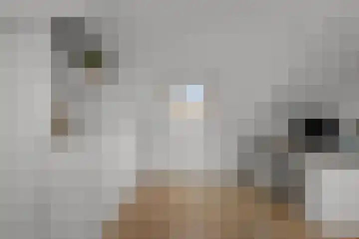 Meeuwstraat 12 Jisp thumbnail 29