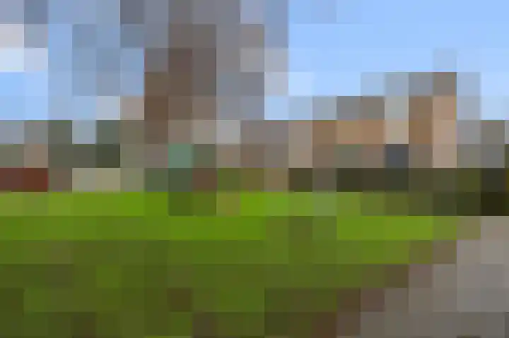 Meeuwstraat 12 Jisp thumbnail 30
