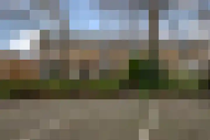 Meeuwstraat 12 Jisp thumbnail 31