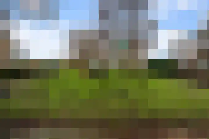 Meeuwstraat 12 Jisp thumbnail 32