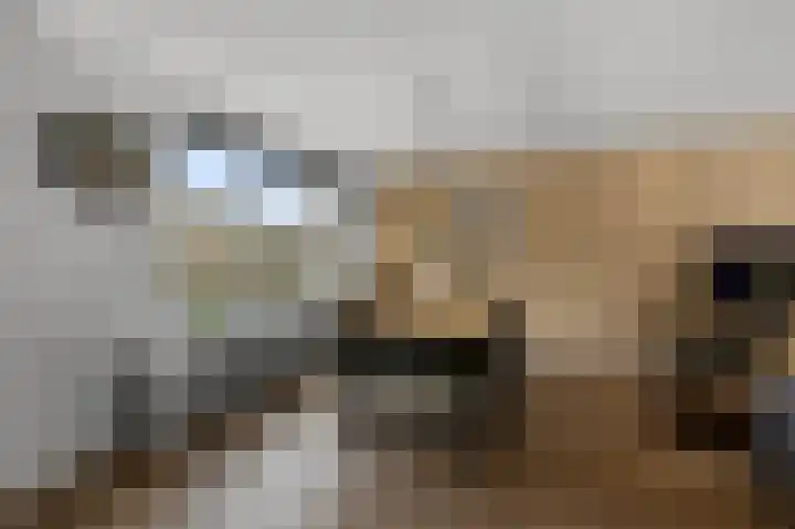 Meeuwstraat 12 Jisp thumbnail 4