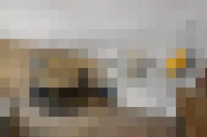 Meeuwstraat 12 Jisp thumbnail 5