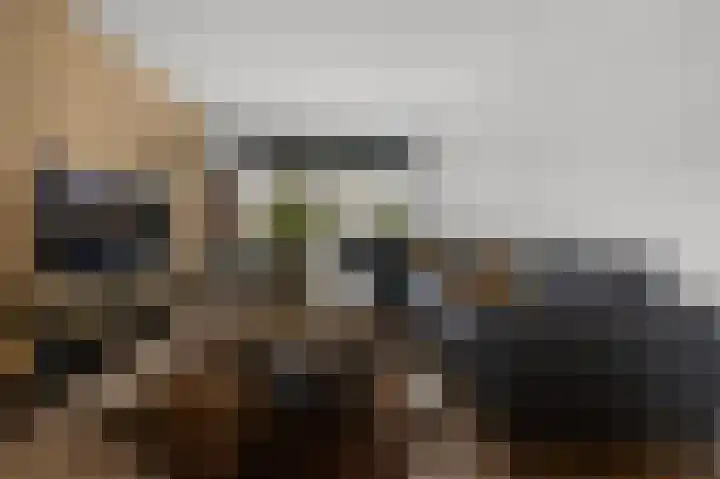 Meeuwstraat 12 Jisp thumbnail 6