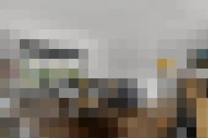 Meeuwstraat 12 Jisp thumbnail 7