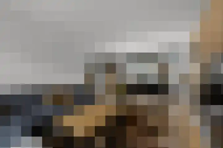 Meeuwstraat 12 Jisp thumbnail 8