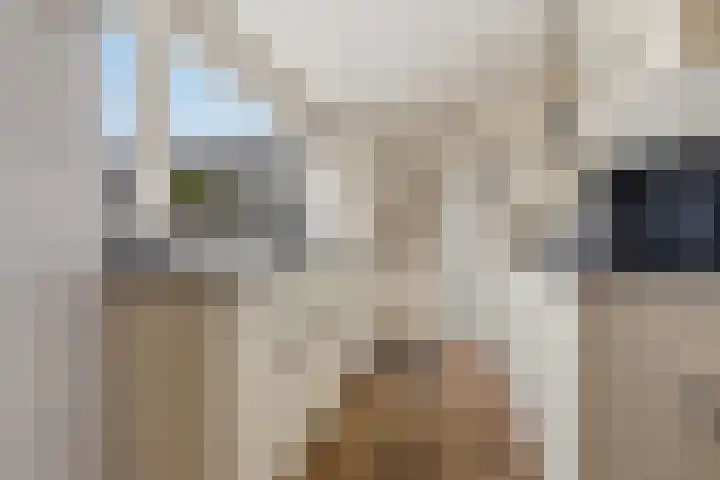 Meeuwstraat 18 Jisp thumbnail 11