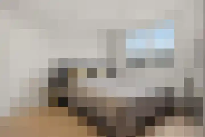 Meeuwstraat 18 Jisp thumbnail 16