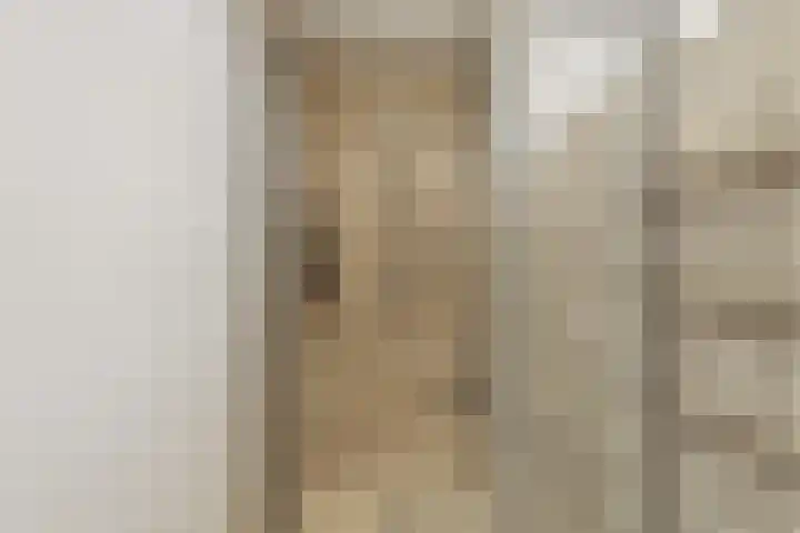 Meeuwstraat 18 Jisp thumbnail 21