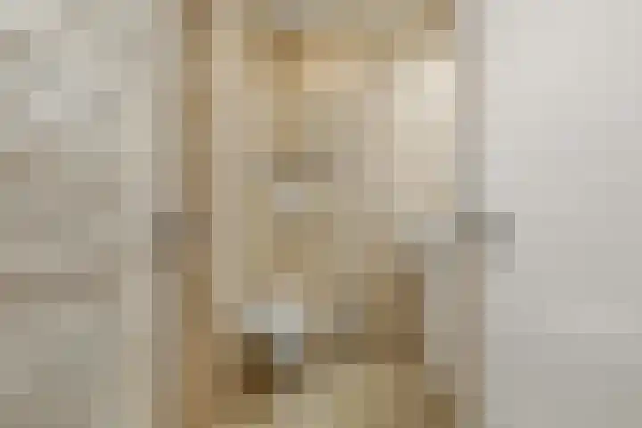 Meeuwstraat 18 Jisp thumbnail 22