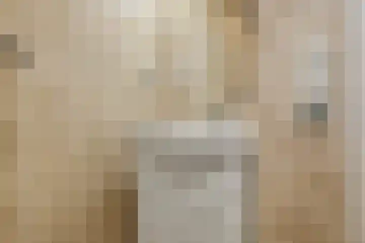 Meeuwstraat 18 Jisp thumbnail 23