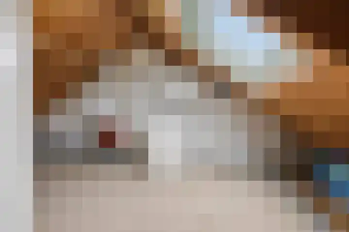 Meeuwstraat 18 Jisp thumbnail 26