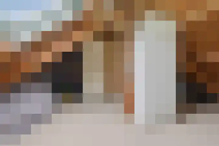 Meeuwstraat 18 Jisp thumbnail 27