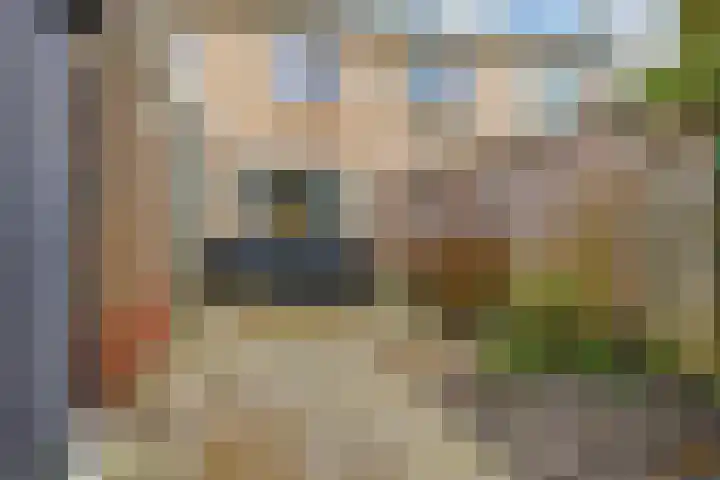 Meeuwstraat 18 Jisp thumbnail 29