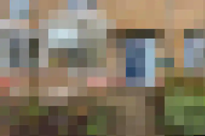Meeuwstraat 18 Jisp thumbnail 32